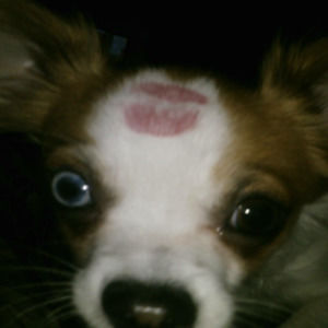 Meet your Posher, Linda